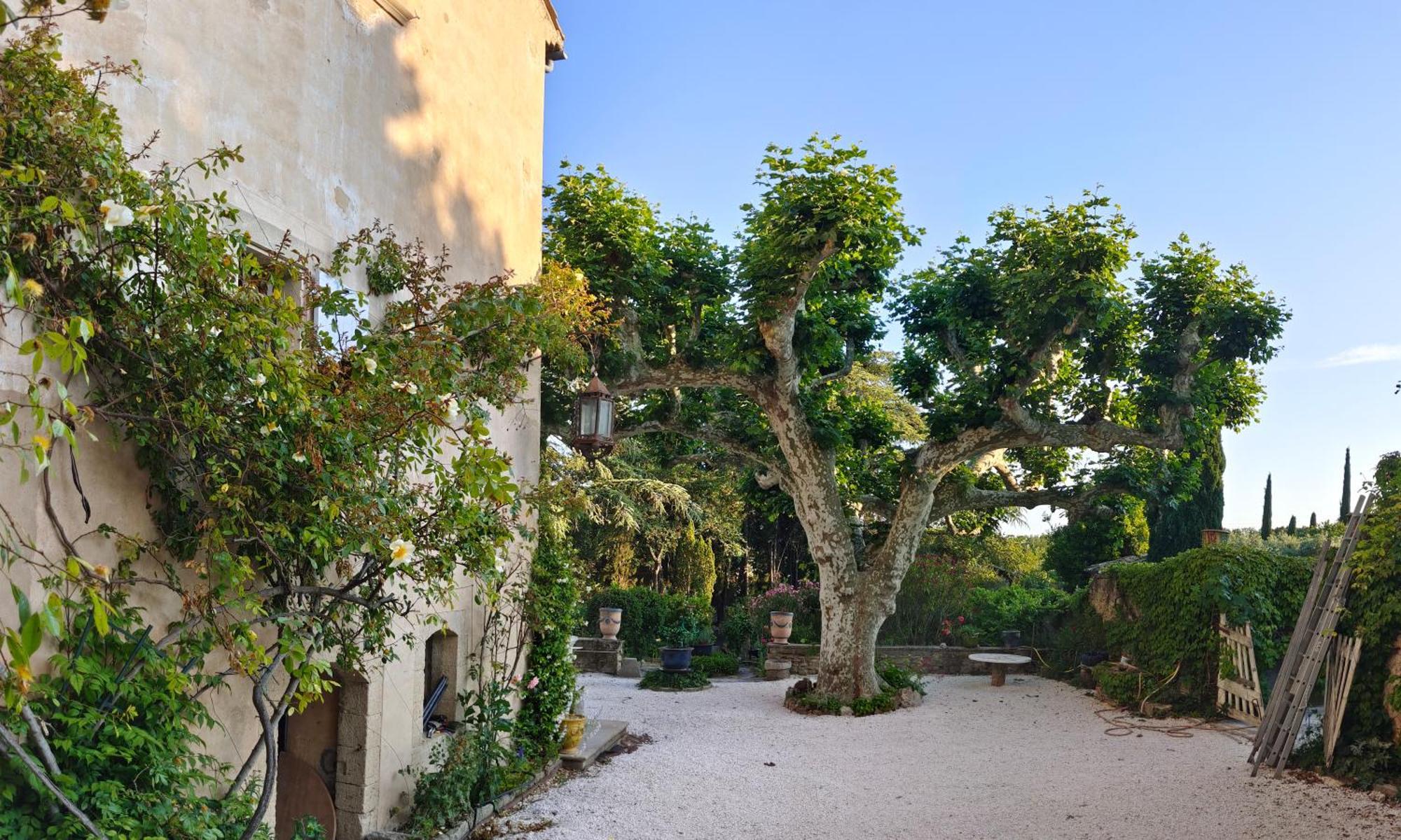 Rue Du Chateau A Cabrieres D'Avignon Bed and Breakfast Eksteriør billede